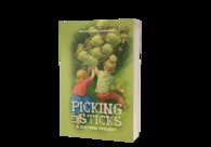 A great web design by Gregory Allen Badersnider, Rockford, IL: 