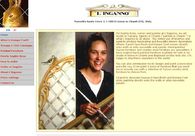 A great web design by ammonet InfoTech, Zurich, Switzerland: 