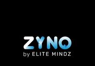 A great web design by ZYNO by Elite Mindz, Indi, India: 