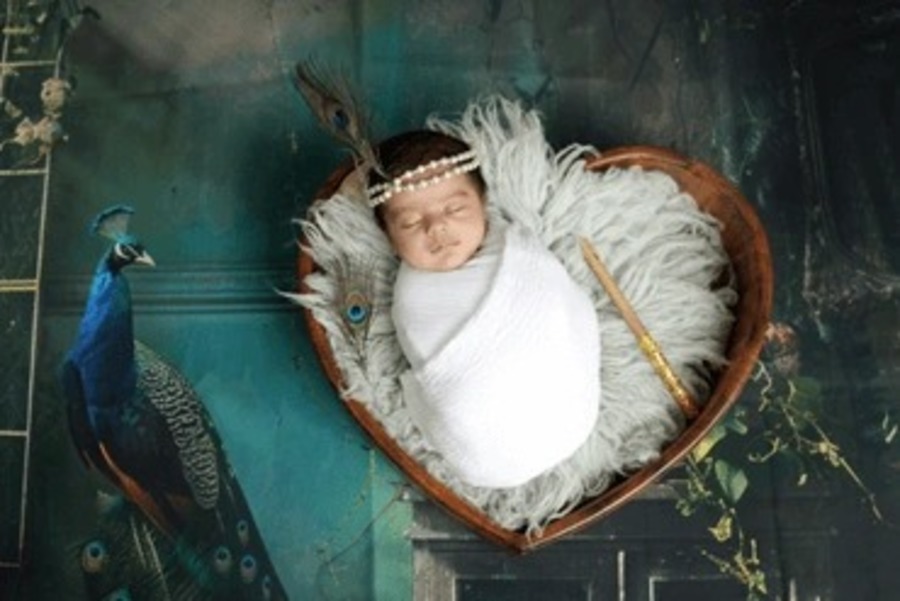 A great web design by Mehra Studio Photography, Ahmedabad, India: 