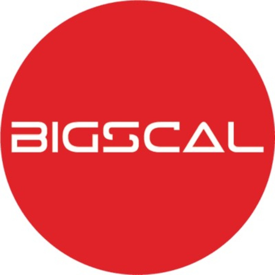 A great web design by Bigscal Technologies Pvt. Ltd., New York, NY: 