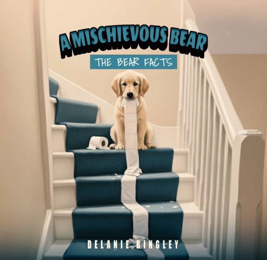 A great web design by Mischievous Bear, Melbourne, FL: 