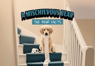 A great web design by Mischievous Bear, Melbourne, FL: 