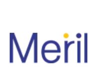 A great web design by Meril Life Sciences, Vapi, India: 