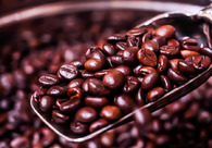 A great web design by Vaishnavi Estate Coffee, Bengaluru, India: 