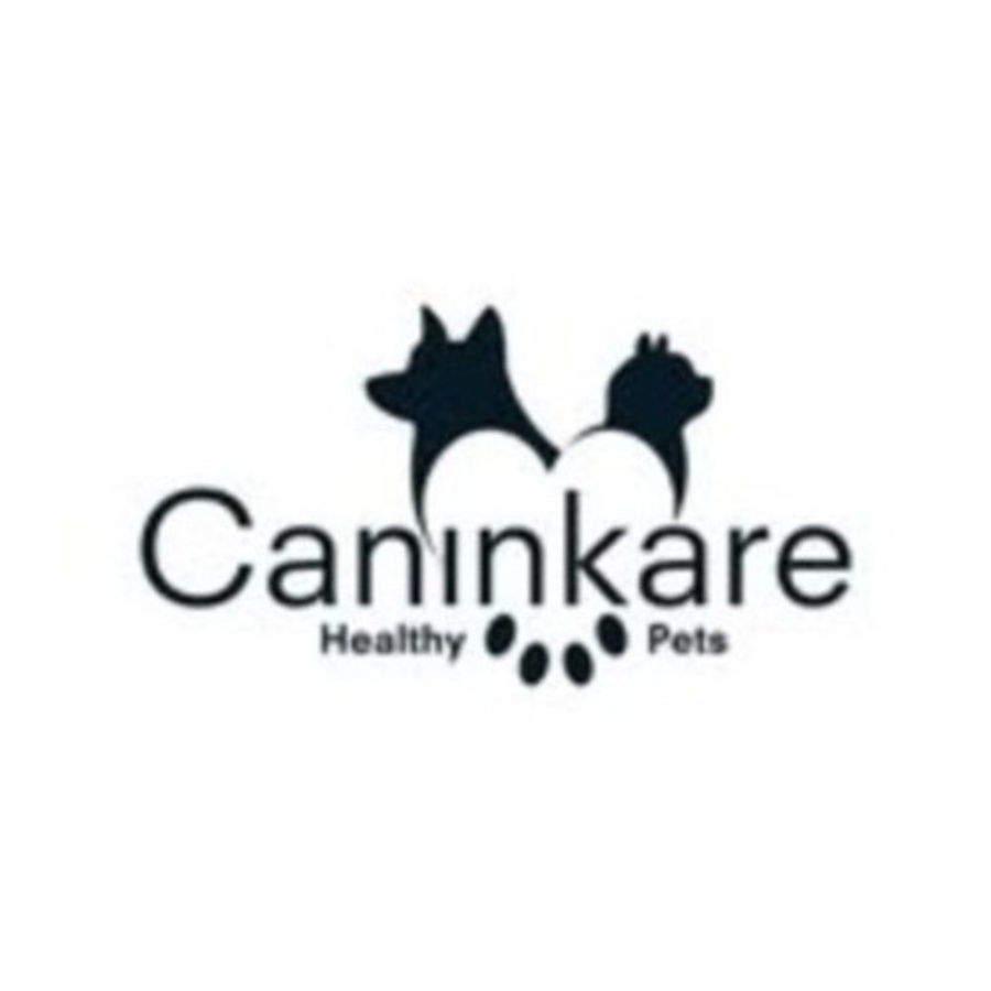 A great web design by CaninKare , Pune, India: 