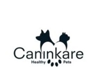 A great web design by CaninKare , Pune, India: 