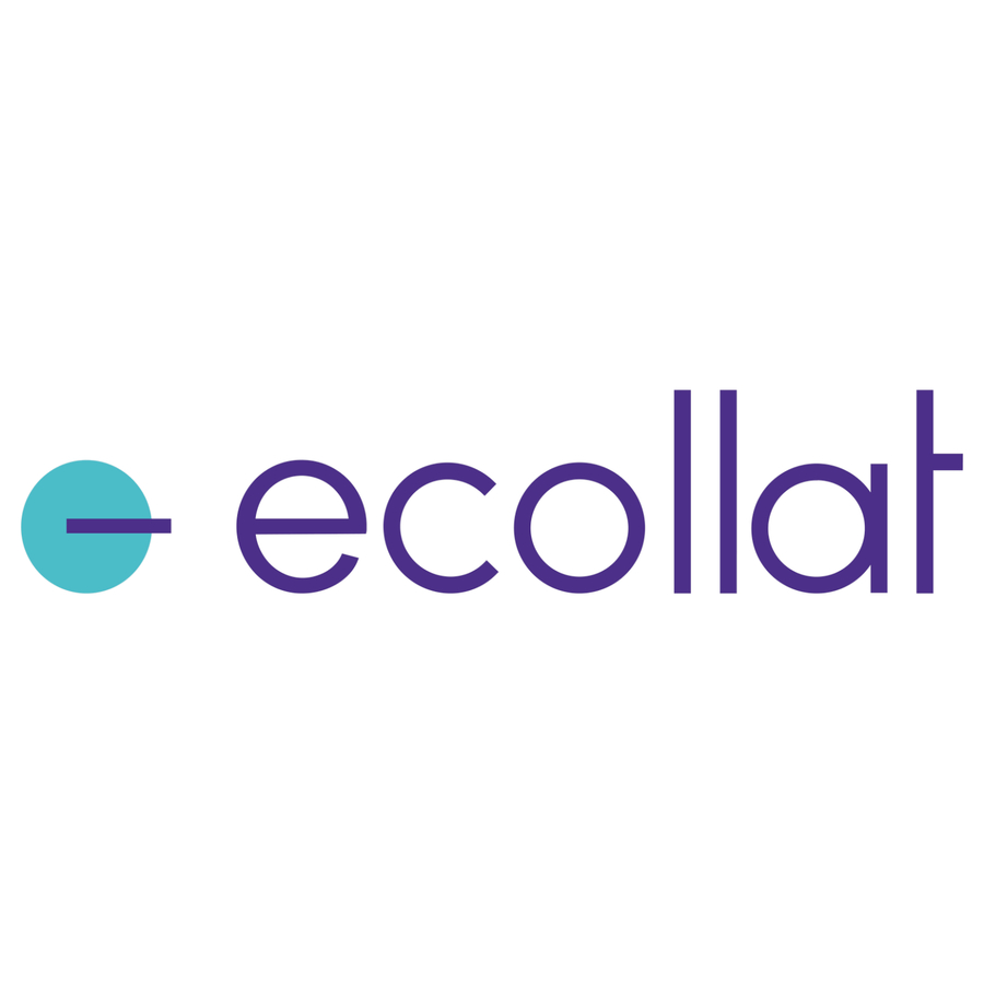 A great web design by Ecollat, Ghaziabad, India: 