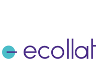 A great web design by Ecollat, Ghaziabad, India: 