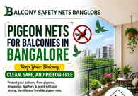 A great web design by Balcony Safety Nets Bangalore, Hyderabad, India: 