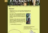 A great web design by 200 Found, Sacramento, CA: 