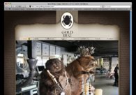 A great web design by White Snoh, Los Angeles, CA: 