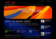 A great web design by Silver Oaks, Chicago, IL: 