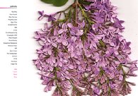 A great web design by yourjustlucky, Grand Rapids, MI: 