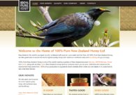 A great web design by TKO Advertising & Design, Christchurch, New Zealand: 