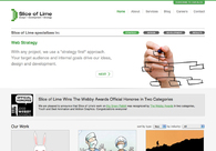 A great web design by Slice of Lime, Denver, CO: 