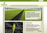 A great web design by Bespoke Grafiks, San Francisco, CA: 