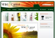 A great web design by Zocalo Consulting Services, Seattle, WA: 