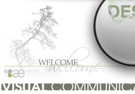 A great web design by Aesthetiq Design, Miami, FL: 