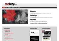 A great web design by Red Leaf Media, Chicago, IL: 
