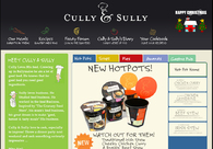 A great web design by Pride Design, Cork, Ireland: 