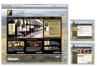 A great web design by Root Creative Group, Orange County, CA: 
