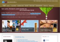 A great web design by Yapaweb, Atlanta, GA: 