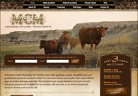 A great web design by CodeGeek.net, Fort Collins, CO: 