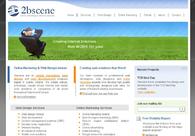 A great web design by 2bscene, Dublin, Ireland: 