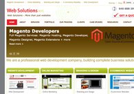 A great web design by Web Solutions NYC, New York, NY: 