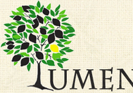 A great web design by Lumen Designs, Vancouver, Canada: 