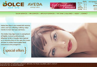 A great web design by SYDCON Web Development, Inc., Chicago, IL: 