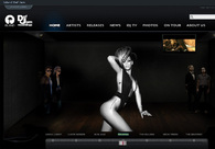 A great web design by Halo Media LLC, New York, NY: 