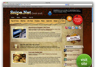 A great web design by Snipe.Net, New York, NY: 