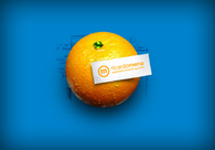 A great web design by Ricardo Mena Designs, Miami, FL: 