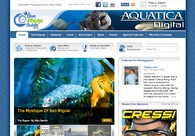 A great web design by New Possibilities Group, LLC, New York, NY: 