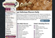 A great web design by darkfirestudios, Pittsburgh, PA: 