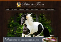 A great web design by Digital Peach Interactive, Macon, GA: 