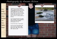 A great web design by Nic Perry, Springfield, MO: 