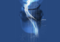 A great web design by bluehaus communications, Edmonton, Canada: 