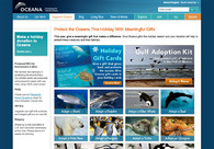 A great web design by New Signature, Washington DC, DC: 