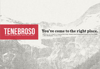 A great web design by Tenebroso Design & Development, Chicago, IL: Responsive Website, Portfolio
, Other, Wordpress
