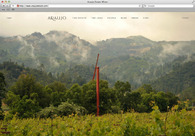 A great web design by HoffmanChrisman, San Francisco, CA: 