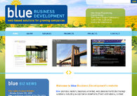 A great web design by blue Business Development, LLC, New York, NY: 