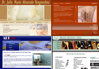 A great web design by PBR Designs, Fort Lauderdale, FL: 