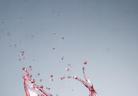 A great web design by Sevenova, Yogyakarta, Indonesia: 