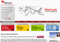 A great web design by eBrandz Inc, New York, NY: 