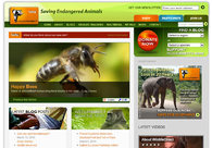 A great web design by Pamoja Media, Nairobi, Kenya: 