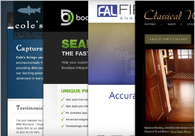 A great web design by strazi.org, Raleigh, NC: 
