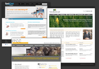 A great web design by K/A, Chicago, IL: 